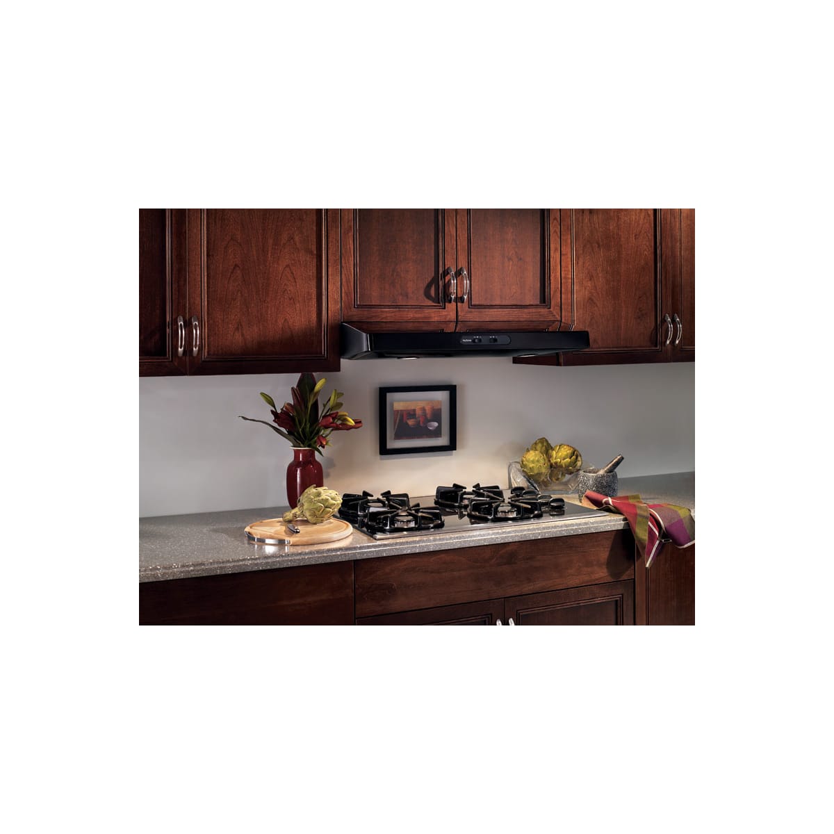 NuTone NS130BL 30" Under Range Hood from the
