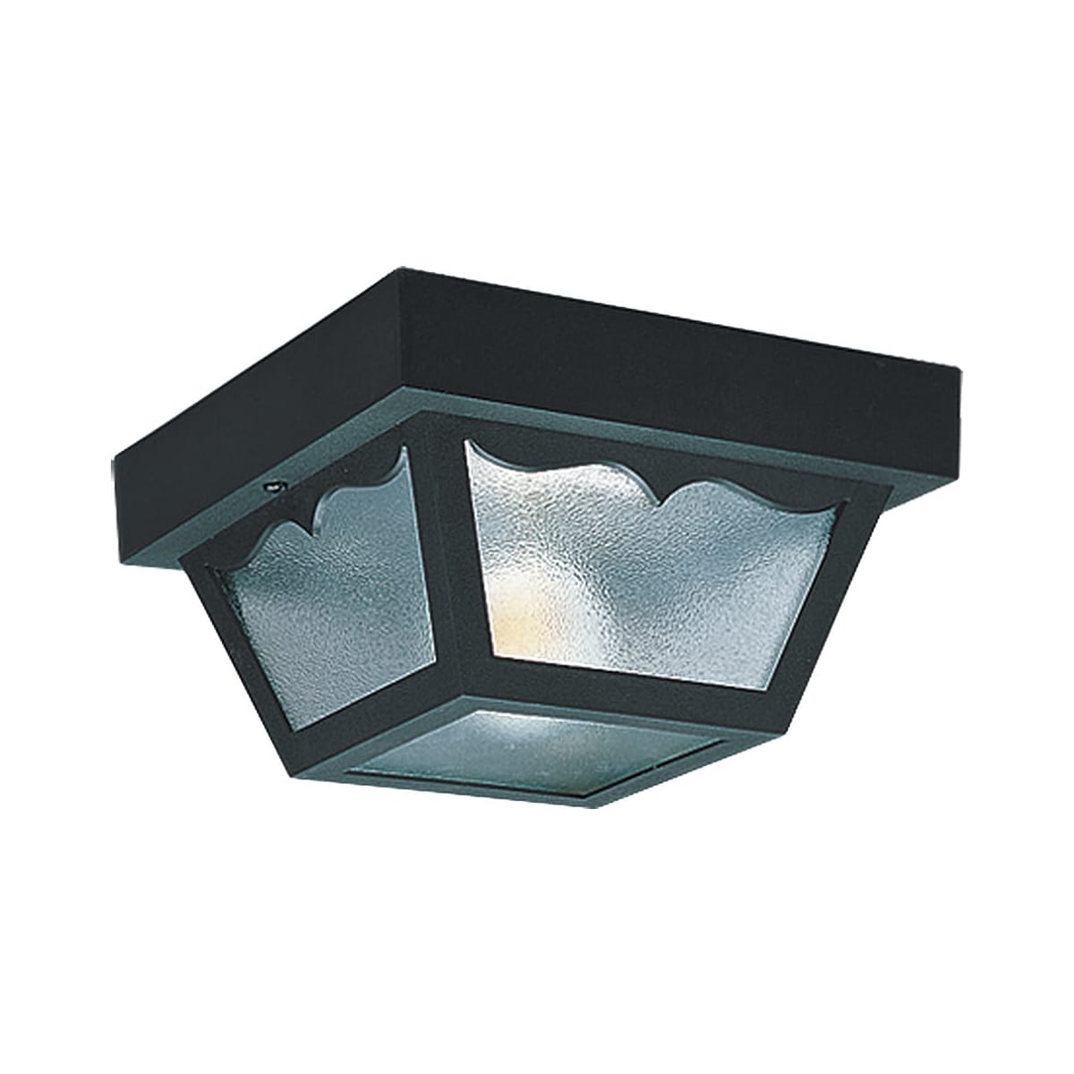 Sea Gull Lighting two-light al aire libre de luminaria de techo en Transparente 7569-32 