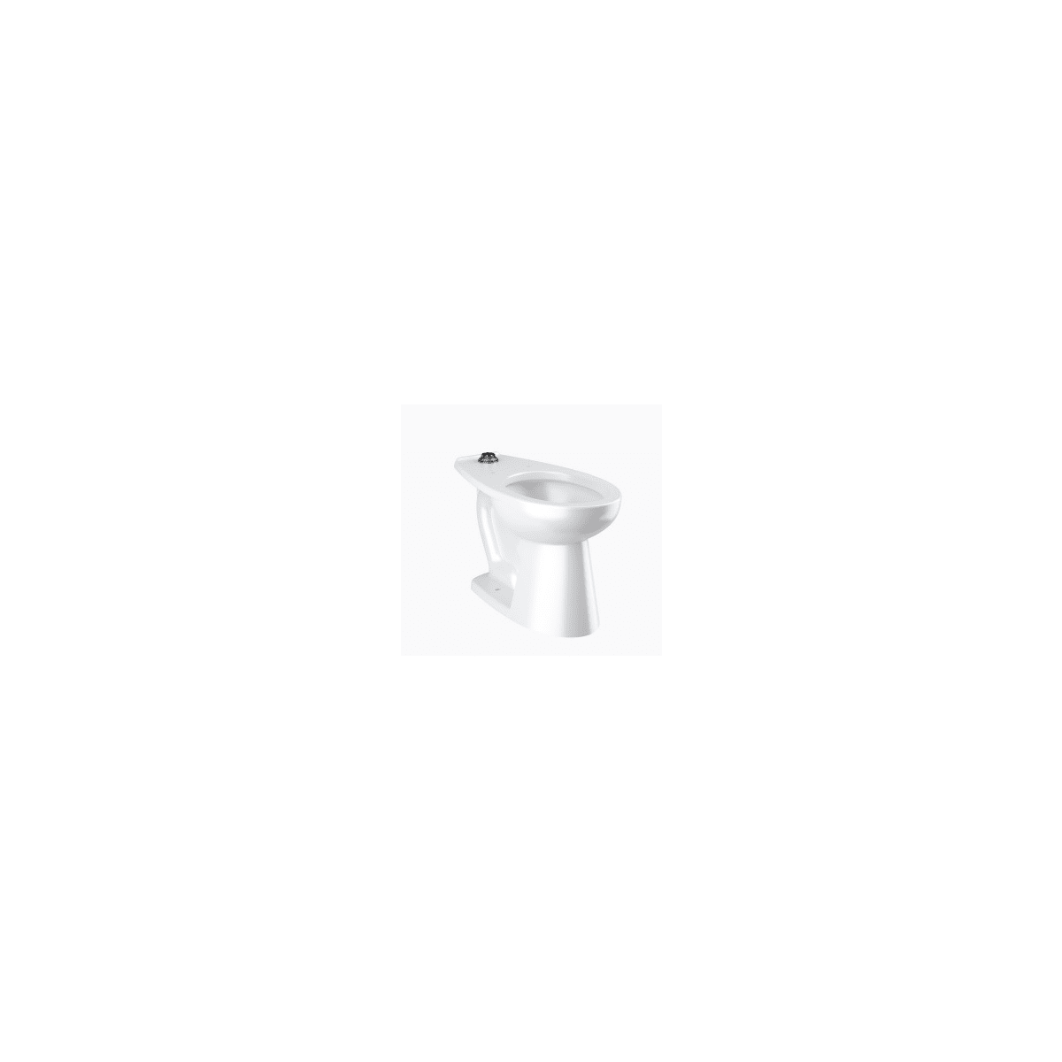 Sloan 2172029 FloorMounted ADA Water Closet