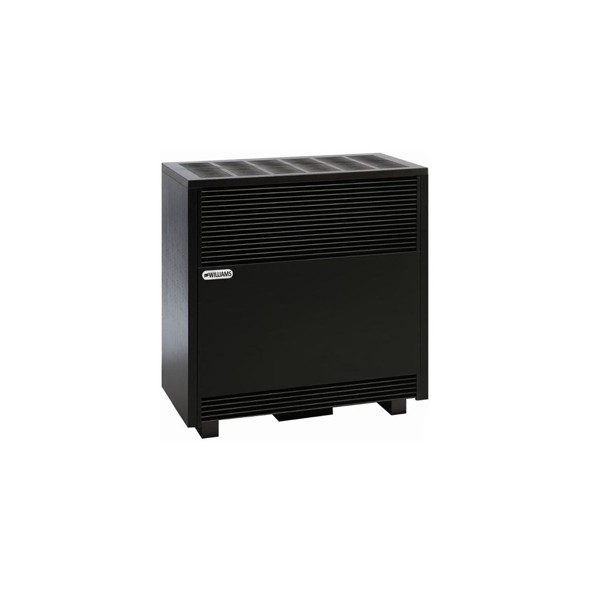 Space Heater Williams Lp Gas Heaters Williams 50,000 BTU Fireplace