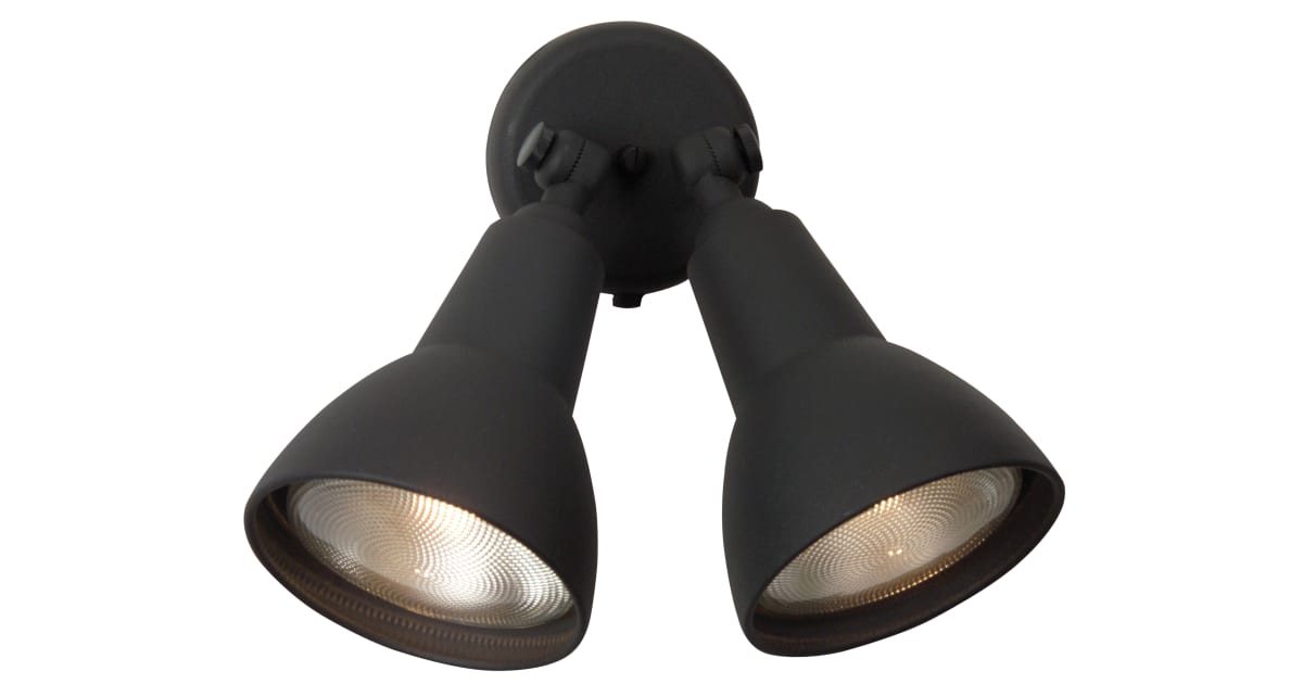 Craftmade Z402TB Dual Head 2 Light Flood Light