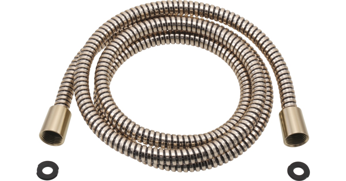 Delta RP64021CZ Replacement Hose Assembly