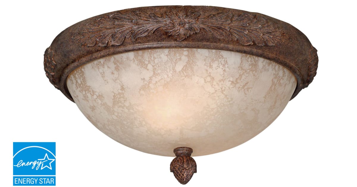 Designers Fountain ES9140-AO Single Light Down Lighting Energy Star ...