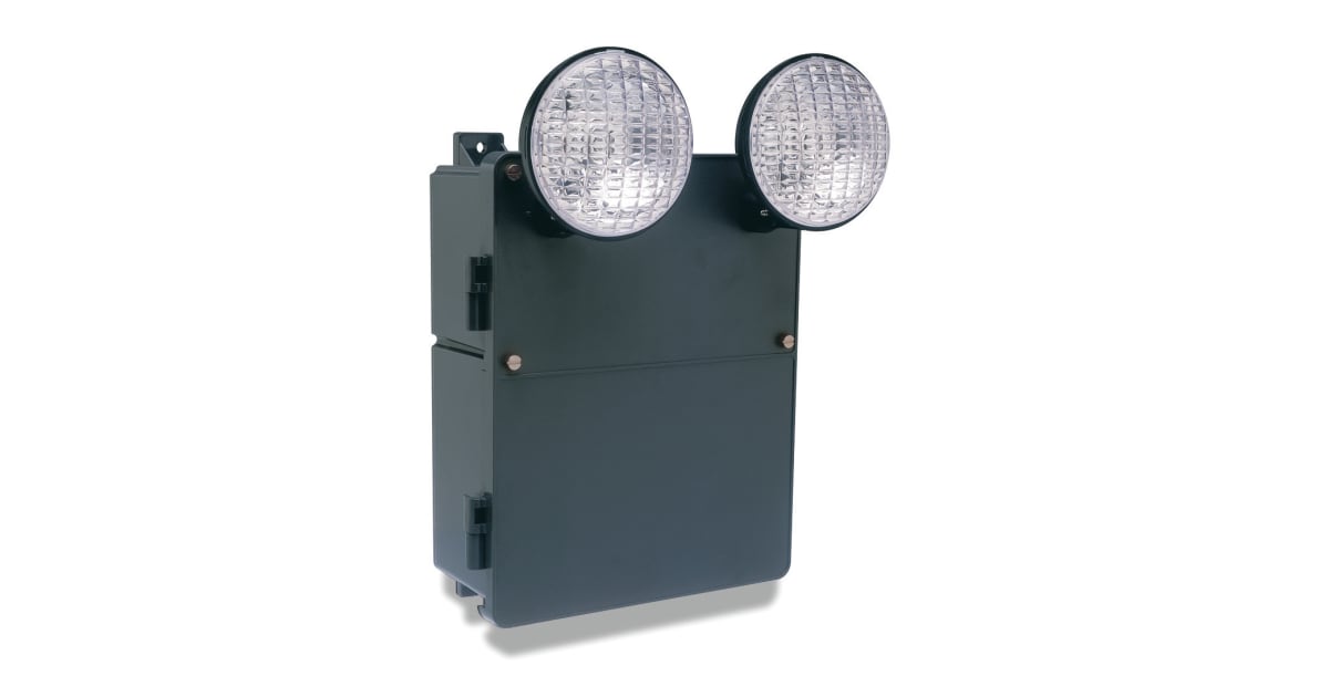 DualLite N4X2 2 Light 90 Minute SelfContained Damp /