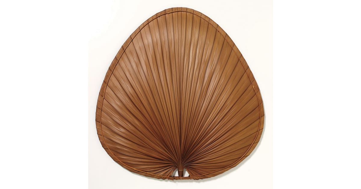 Fanimation PAD1C Palisade Blade Set Of 8-22 Inch - Wide Oval Bamboo-C, Blades - Canada