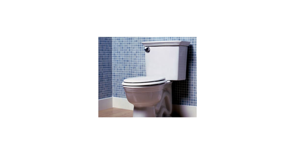 Jacuzzi Y723969 Fixture Toilet OnePiece Elongated from