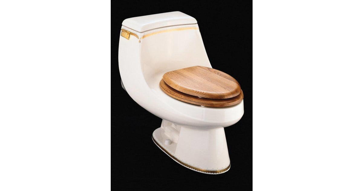 Kohler Fixture Toilet One-Piece Elongated from the Artist | Build.com
