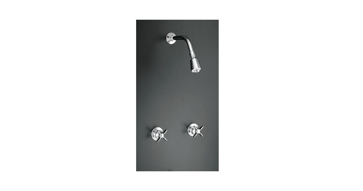 Kohler Faucet Shower Only Double Handle from the Triton series ...