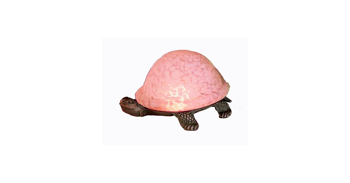 Meyda tiffany turtle shop lamp