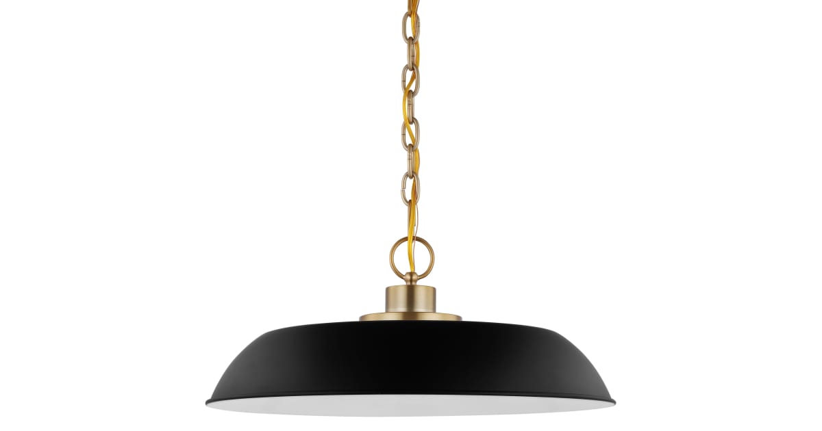 Nuvo Lighting 60/7484 Colony 20" Wide Pendant | Build.com
