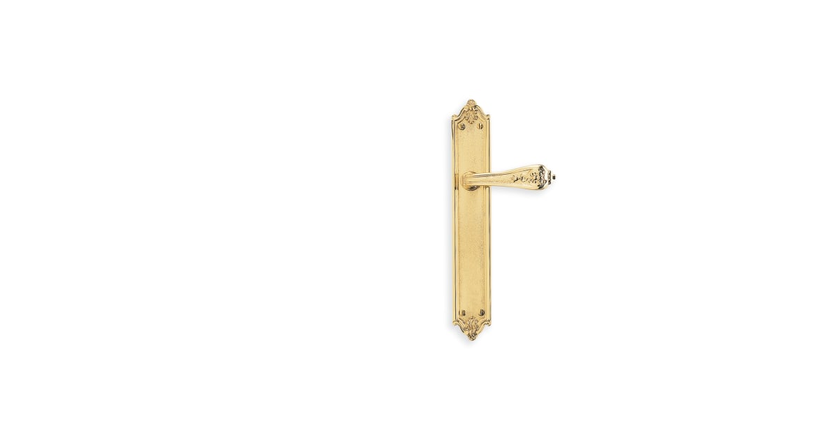 Set Plaque De Porte Omnia US3 – Passage étroit – Laiton Poli – NOS Italien