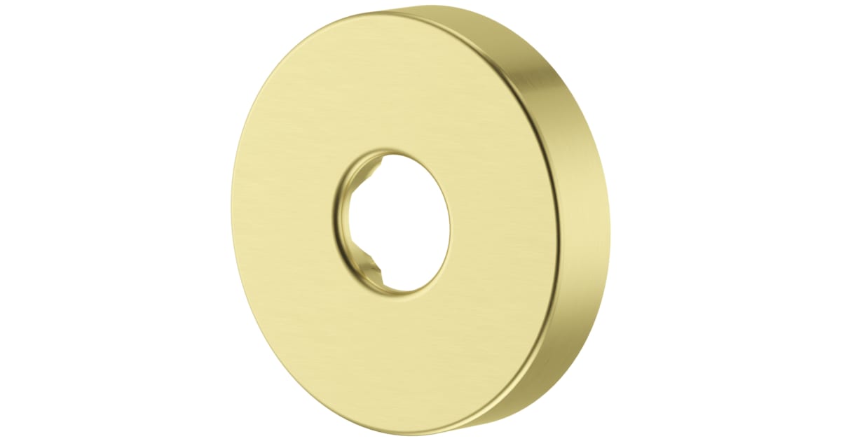 Pfister 960258BG Shower Arm Flange