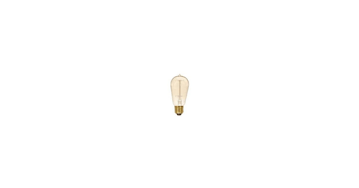 Satco Lighting S2423 60 Watt Vintage Edison Dimmable ST19 Build
