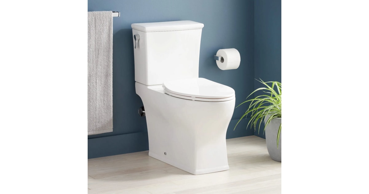 signature hardware carraway toilet