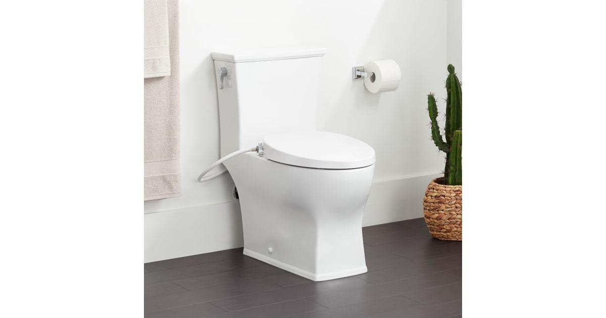 signature hardware carraway toilet
