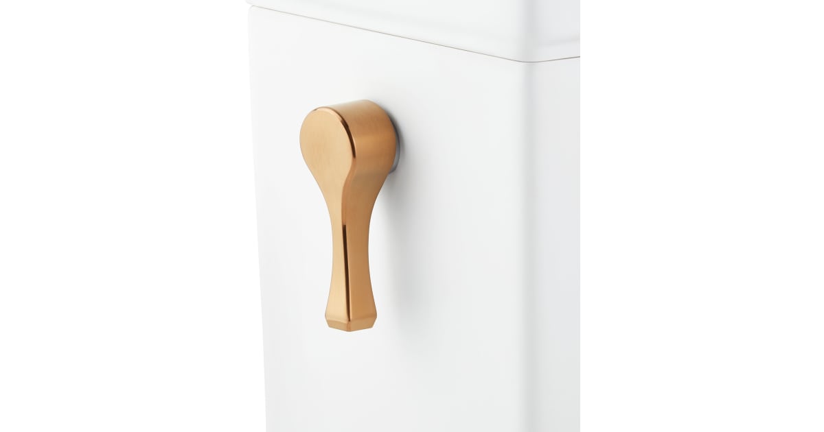 signature hardware carraway toilet