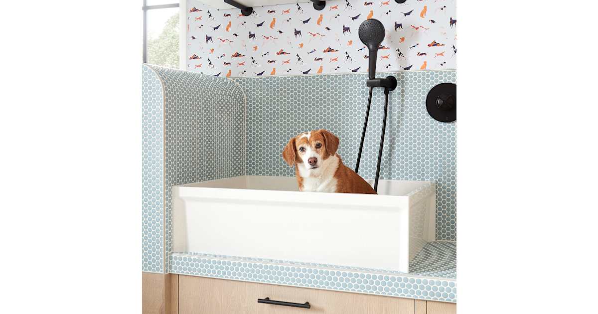 Outdoor Shower Tray Outside Dog Wash LOVMOR 50 Dog Washing Station