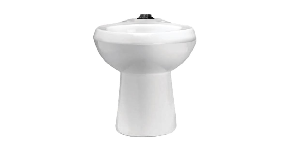 Sloan 2112029 One Piece Elongated ADA Toilet less Seat