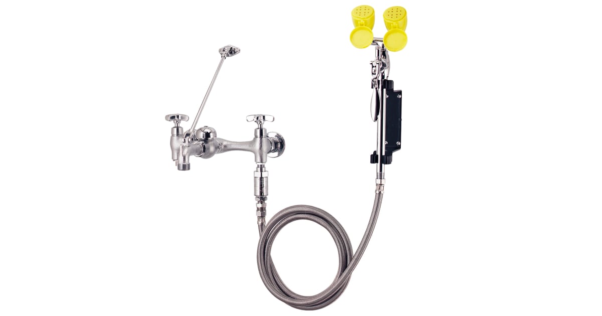 Speakman SEF9000FM Eyesaver Combination Service Sink