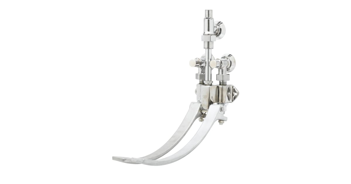 T and S Brass B-0504-01 Wall Mounted Double Pedal Valve with Loose Key ...