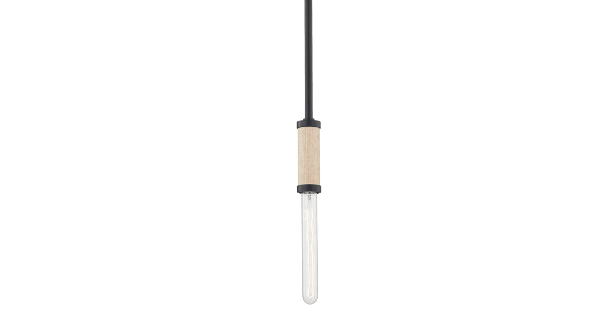 ルゼフィール Troy Lighting F6701-SBK Cruiz 2