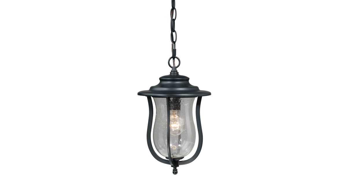 Vaxcel Lighting T0011 Corsica 1 Light Pendant