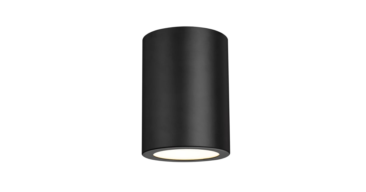 Z-Lite 2302F1-MB Harley 5