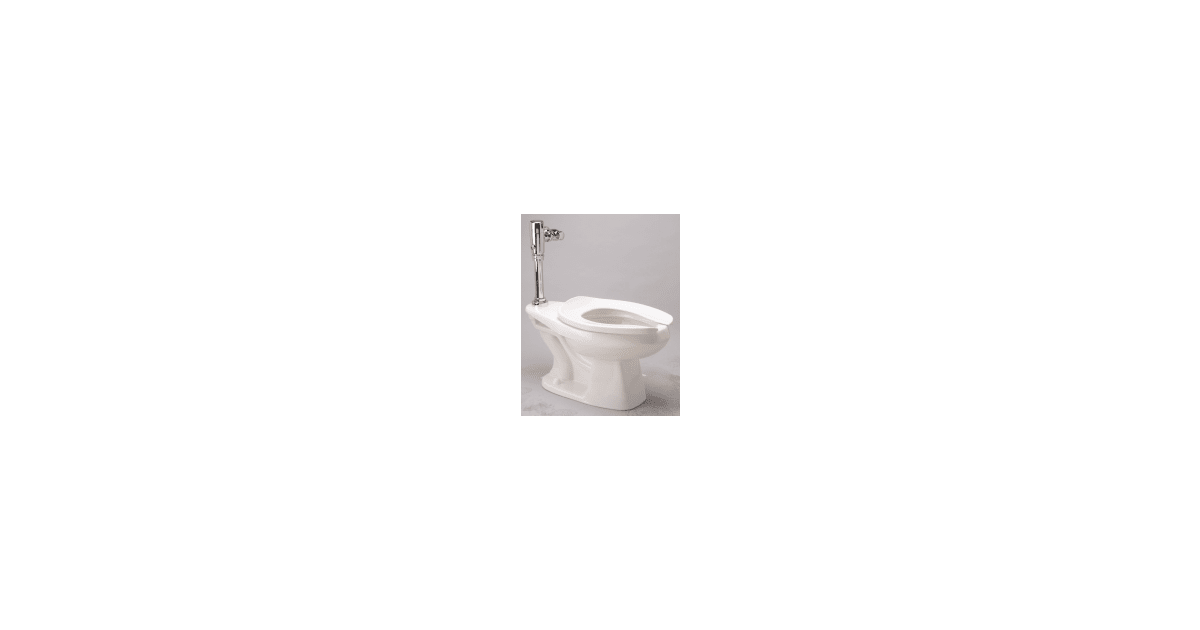 Zurn Z5656.213 Elongated Toilet System with Bedpan Lugs