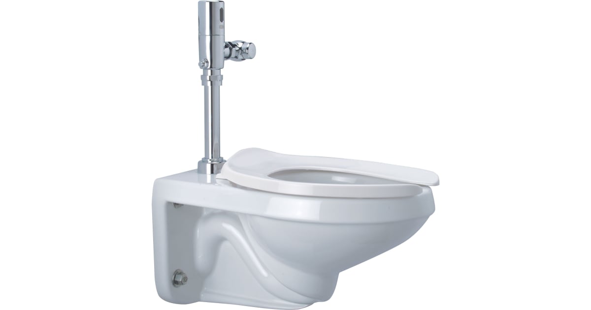 Zurn Z5615BWL Wall Mounted Elongated Toilet Bowl Only