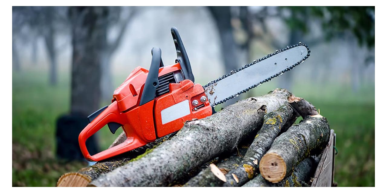 Chainsaw Buying Guide How to Find the Best Chainsaw