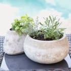 Outdoor Planters