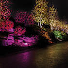 Colorscaping