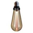 Bulbs and Accessories