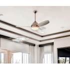 Ceiling Fans
