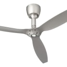 Ceiling Fans