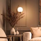 Warm Dim Bulbs