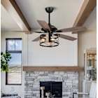 Ceiling Fans