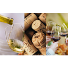 Wine Refrigerators