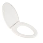Toilet Seats