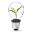 LED Light Bulbs