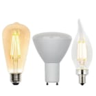 Bulbs - NEW!