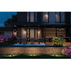 Accent Lights