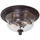 Great Outdoors Ceiling Lights