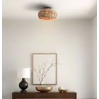 Flush and Semi-flush Ceiling Lights