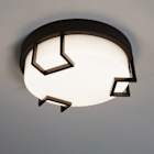 Outdoor Ceiling Lights