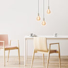 Bulbs