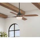 Ceiling Fans