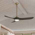 Ceiling Fans