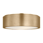 Ceiling Lights