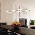 Suspension Lighting